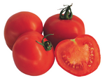 Plant de Tomate